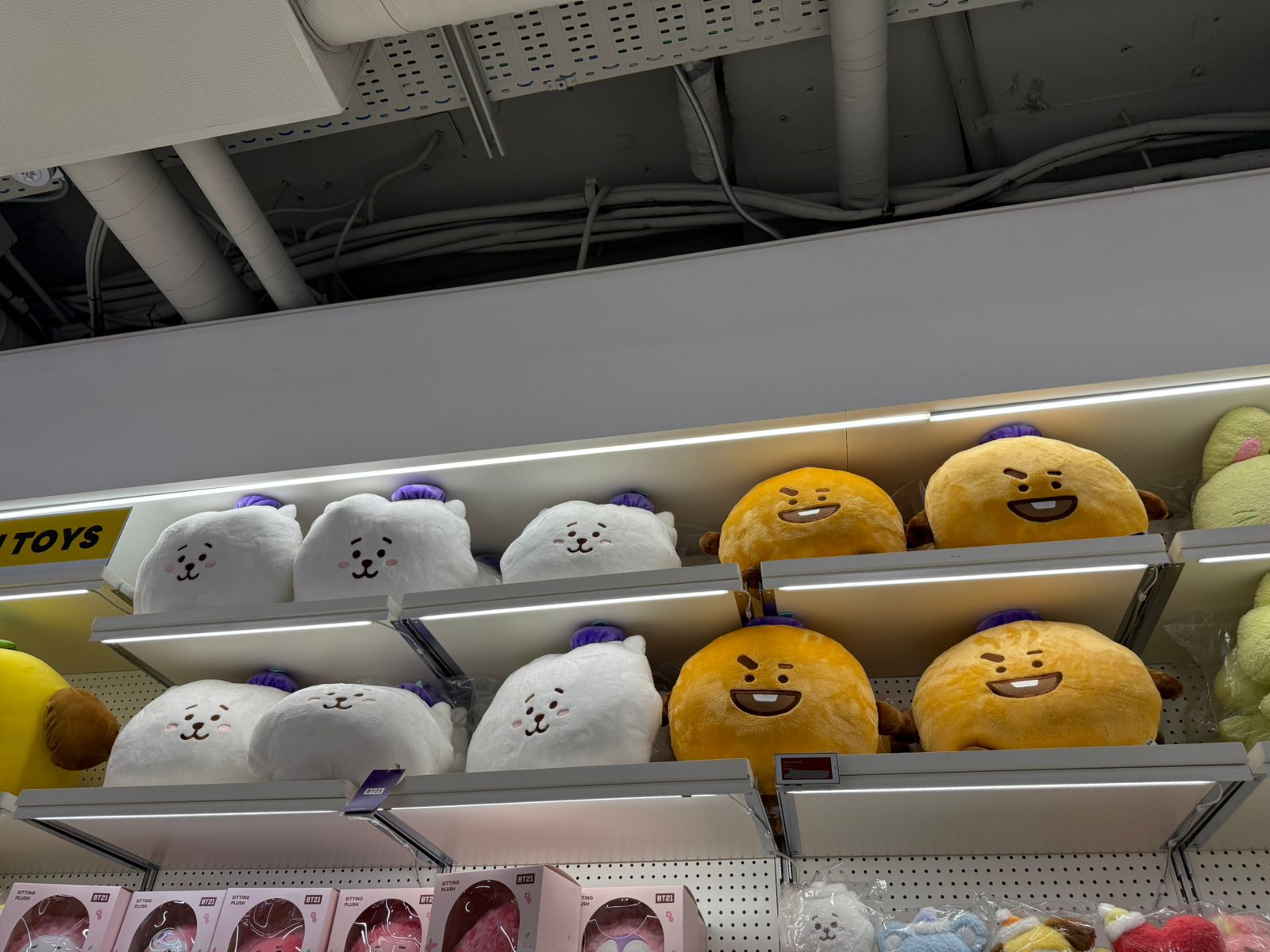 [LINE FRIENDS] FACE CUSHION BT21