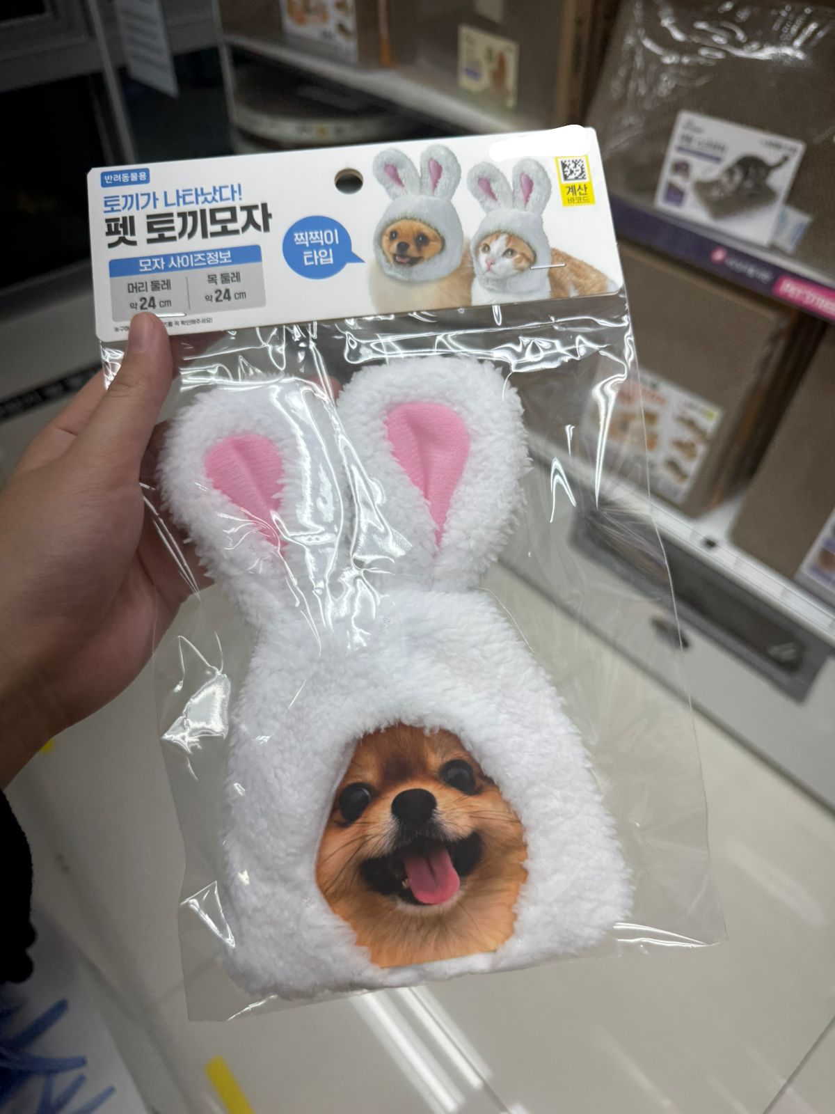 Topi untuk doggy & meong 😆🤭  Serba 65rb/pcs 😆